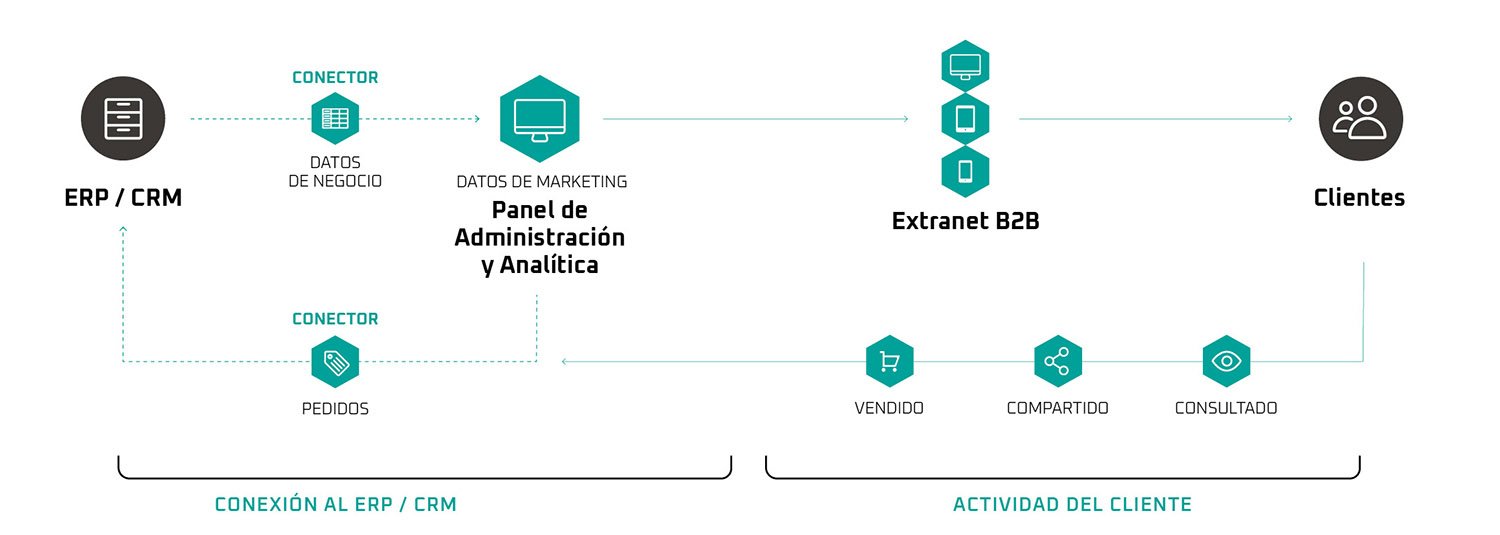 esquema b2b - CatalogPlayer