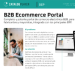 B2B Ecommerce Portal portada 1 - CatalogPlayer