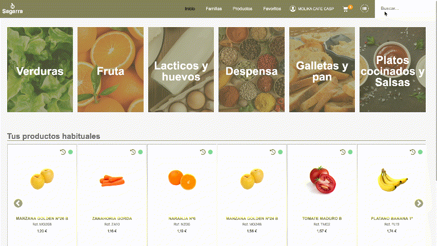 Buscador predictivo Ecommerce B2B - CatalogPlayer
